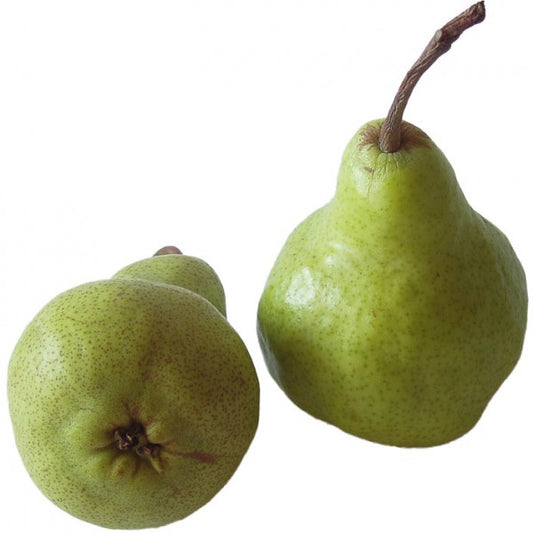 Gruszka Packham